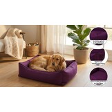 Hondenmand - hondenbed - 60x70cm - paars