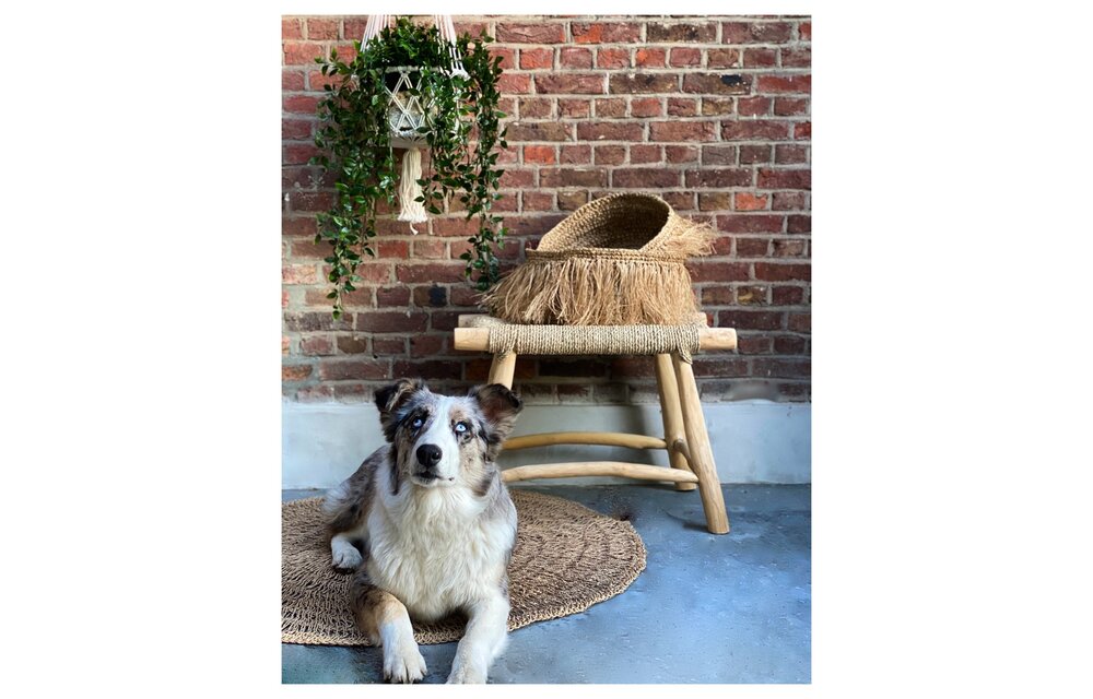 The Raffia Bowl - Natural - L