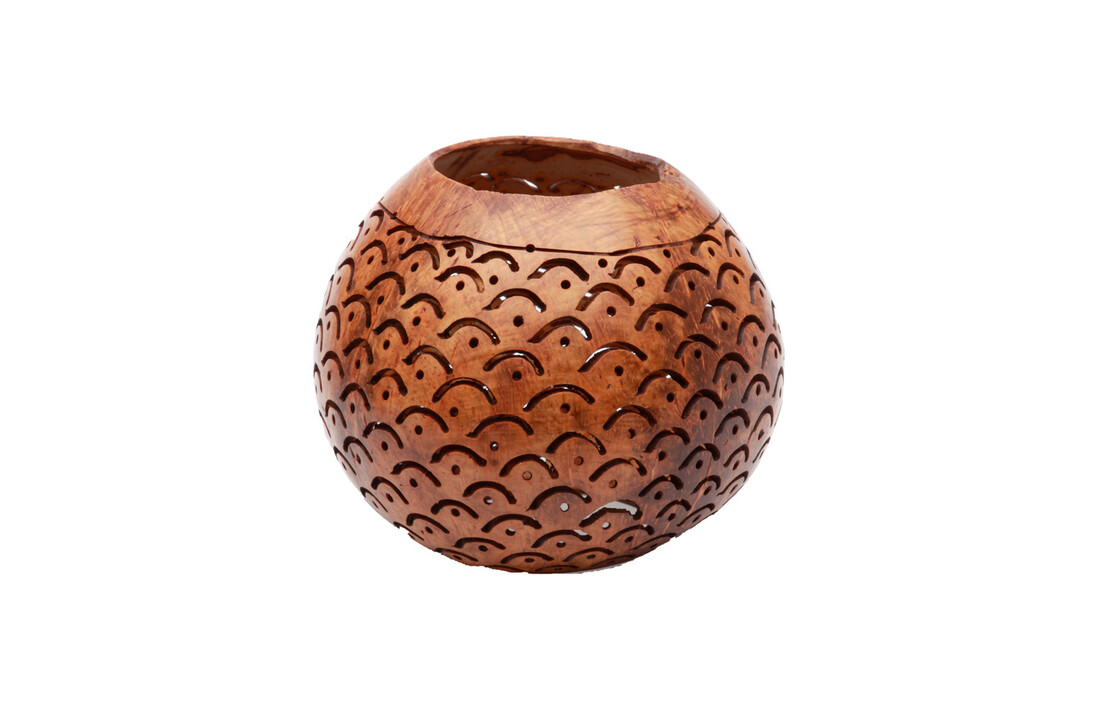 The Coconut Scale - Brown