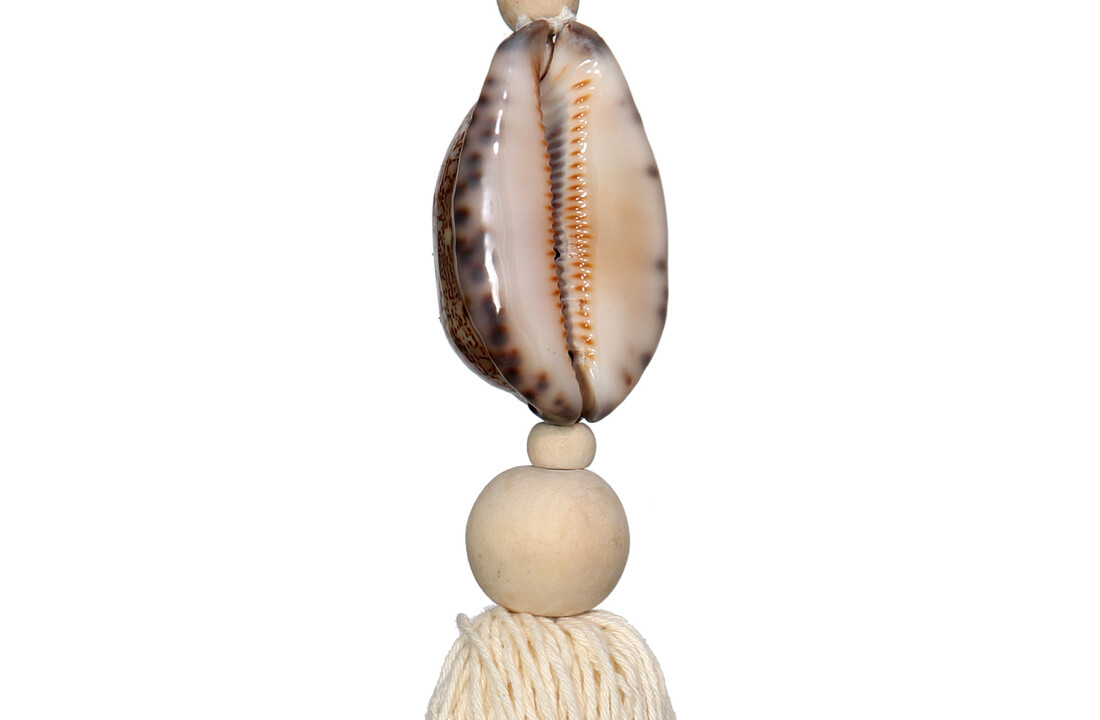 The Natural and Brown Cowrie Keychain