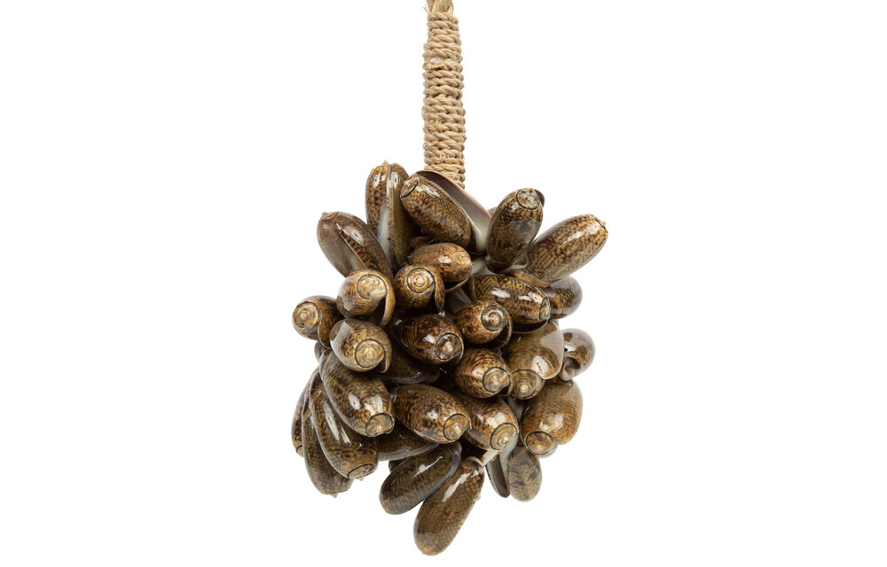 The Brown Cowrie Shell tassel