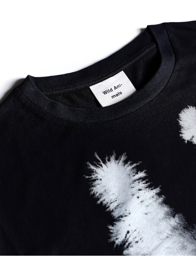 Tee window white