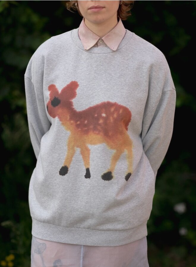 Sweater deer