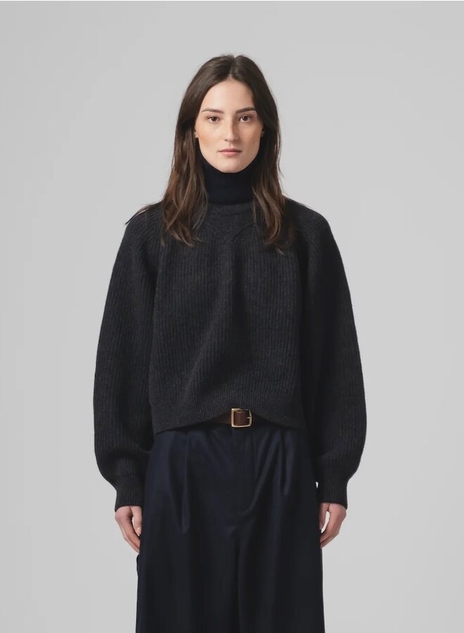Cropped crew sweater antra