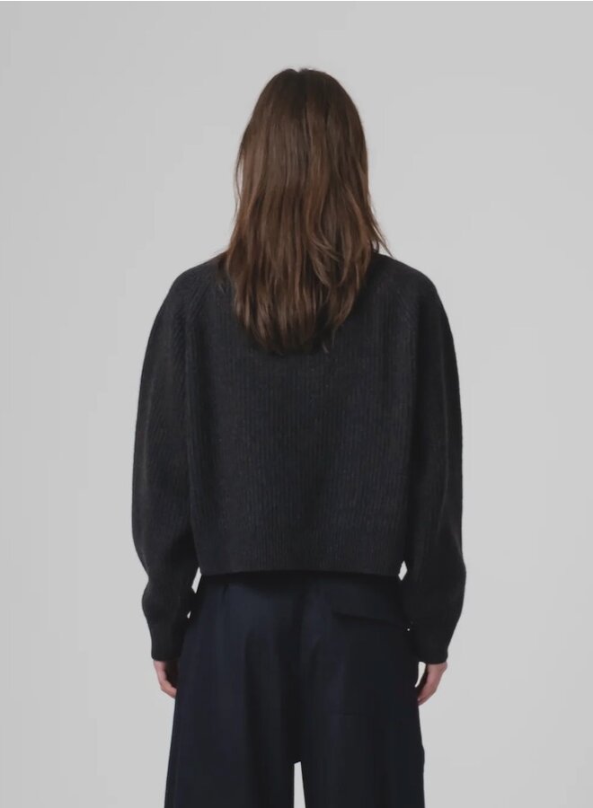 Cropped crew sweater antra