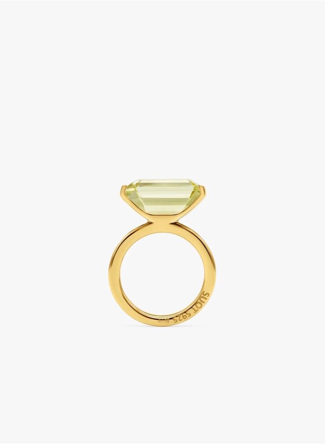 Half cut lemon ring
