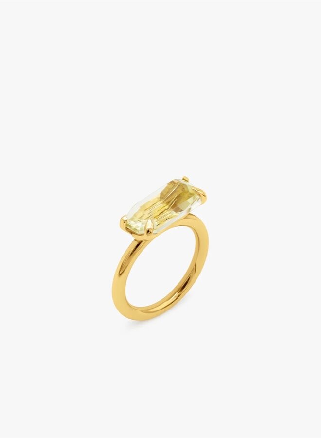 Half cut lemon ring