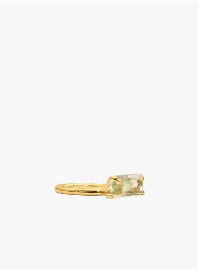 Half cut lemon ring