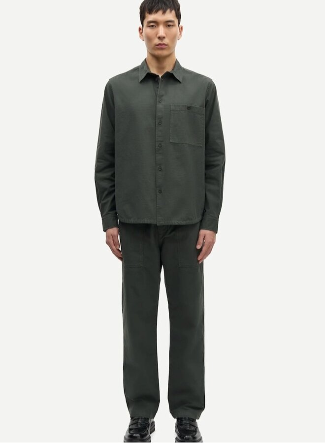 Sajabari fly evergreen