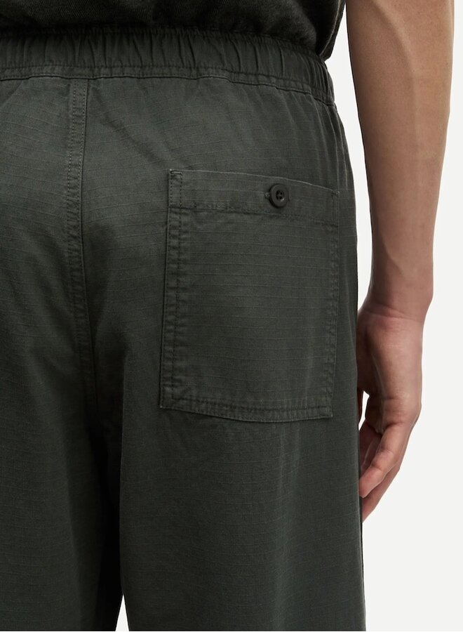 Sajabari fly evergreen