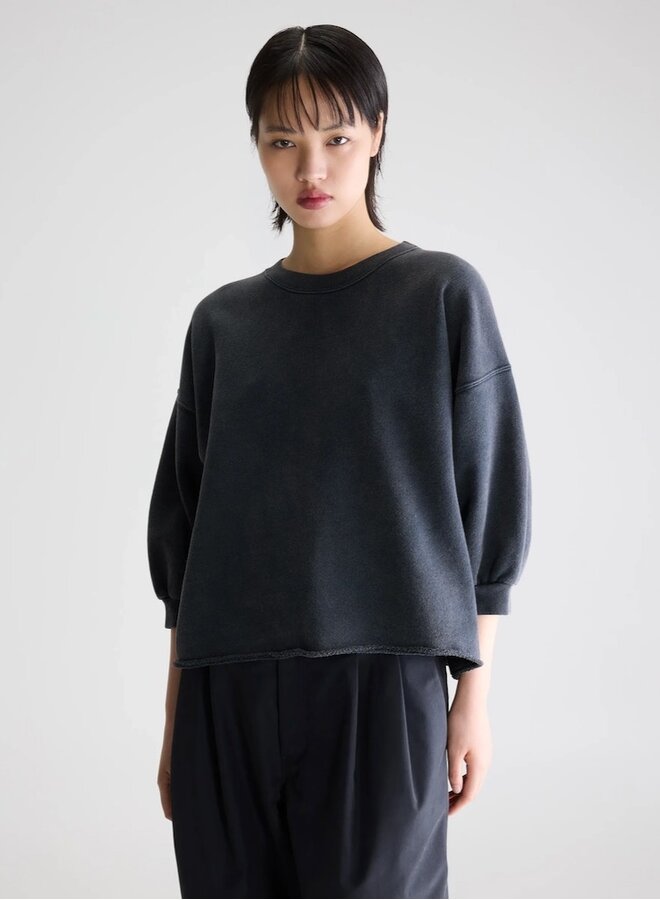 Vicske sweat meteorite