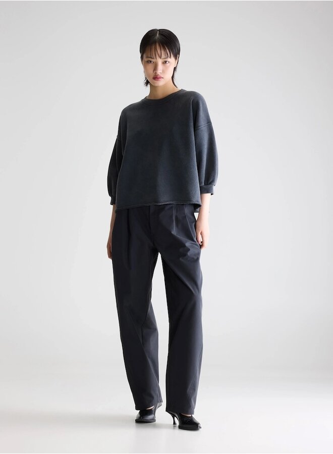 Vicske sweat meteorite