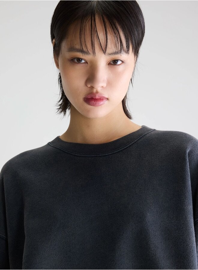 Vicske sweat meteorite