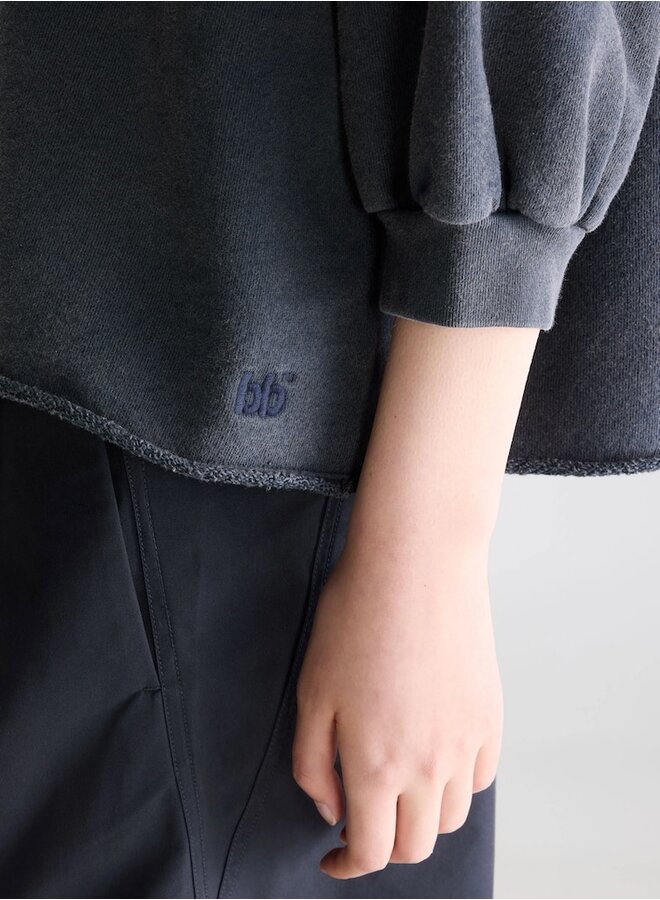 Vicske sweat meteorite