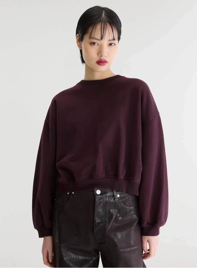 Fancy62 sweat roast or burgundy