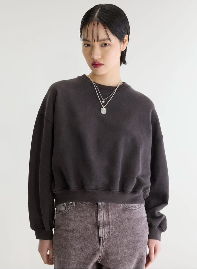 Fancy62 sweat roast or burgundy