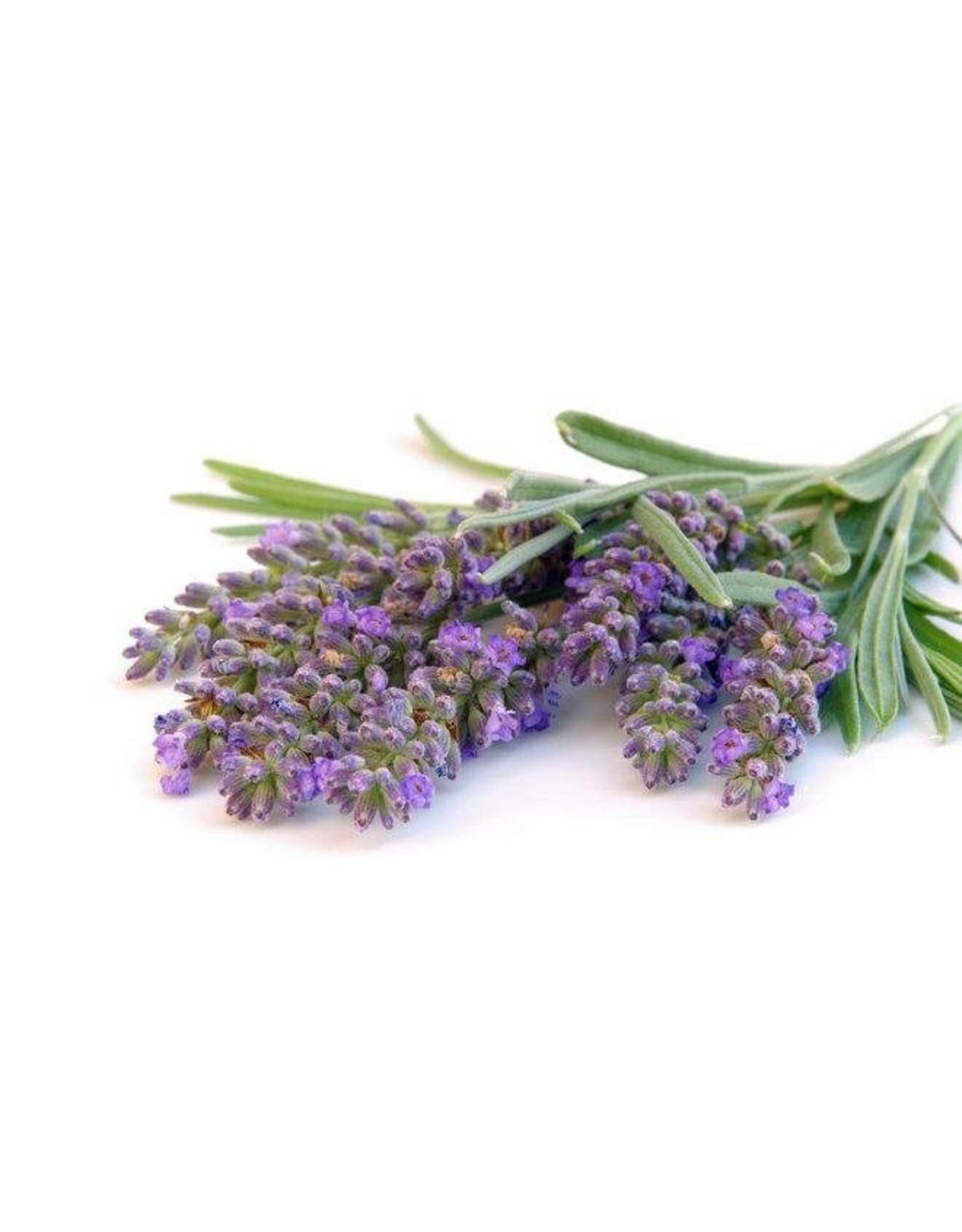 DeOliebaron Lavendel massage olie 500 ml