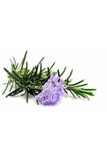 DeOliebaron Etherische olie Rozemarijn 10ml DeOliebaron Etherische olie Rozemarijn 10ml