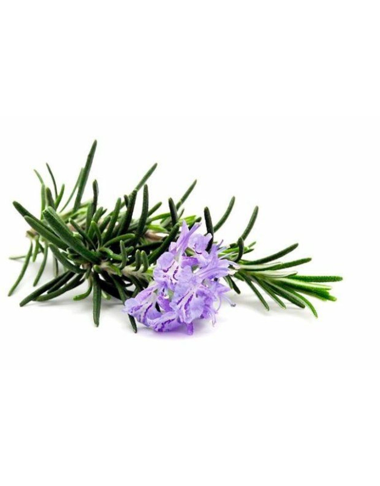 DeOliebaron Etherische olie Rozemarijn 10ml