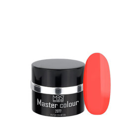 Mega Beauty Shop® Color gel  UV/LED tarracotta (2077)