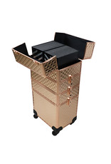 Mega Beauty Shop® Aluminium Trolley Gold 4in1 - 3D