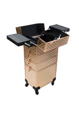 Mega Beauty Shop® Aluminium Trolley Gold 4in1 - 3D