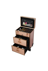 Mega Beauty Shop® Trolley Medium groot Gold  met opbergvakken