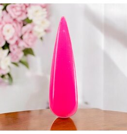 Mega Beauty Shop® Acryl poeder  15 gram (AC42)