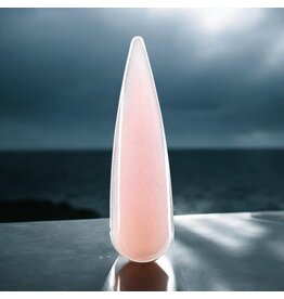 Mega Beauty Shop® Acryl poeder  15 gram (XC 293)