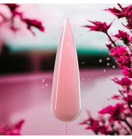 Mega Beauty Shop® Acryl poeder  15 gram (XC 299)