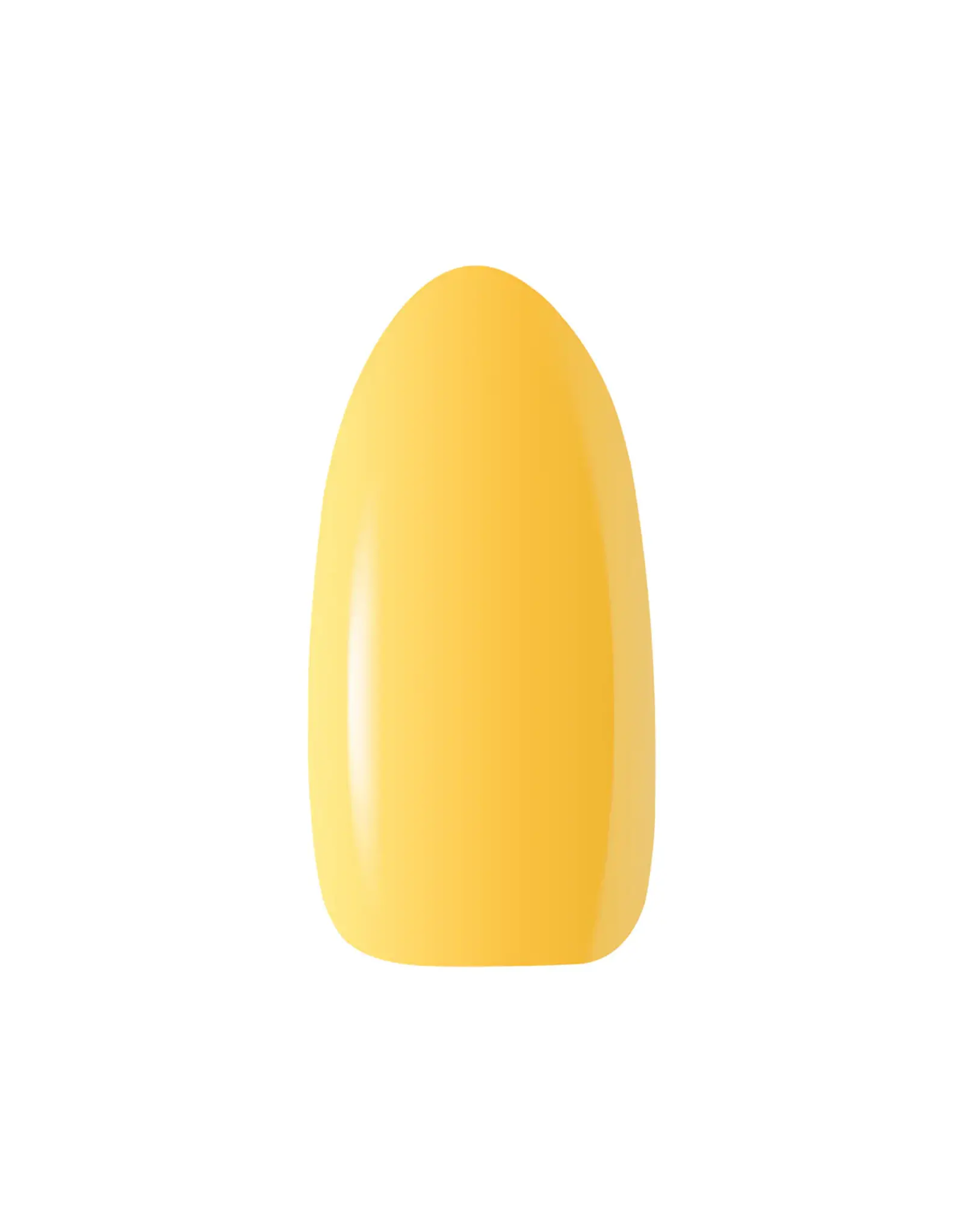 Mega Beauty Shop® Gel polish 5ml.  rainbow R01