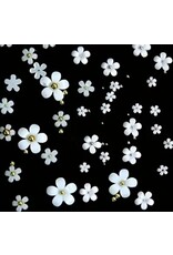 Mega Beauty Shop® Acryl Bloemen 3D wit&roze