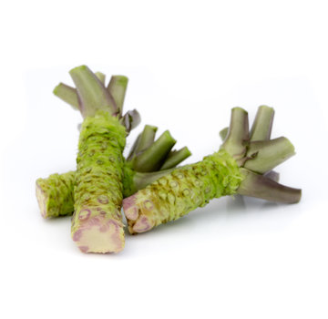 Dutch Wasabi Verse wasabi-rhizoom - per stuk