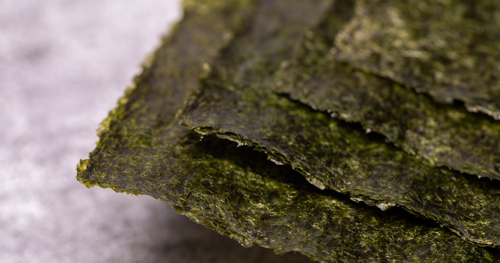 All about nori - Dutch Wasabi