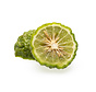 Kaffir lime from Spain