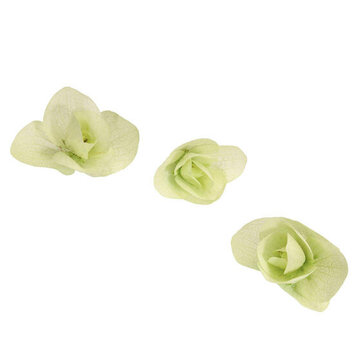 Koppert Cress Floregano® CupCard 20st