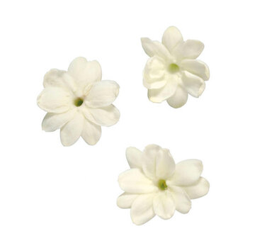 Koppert Cress Jasmine Blossom CupCard 25 pcs