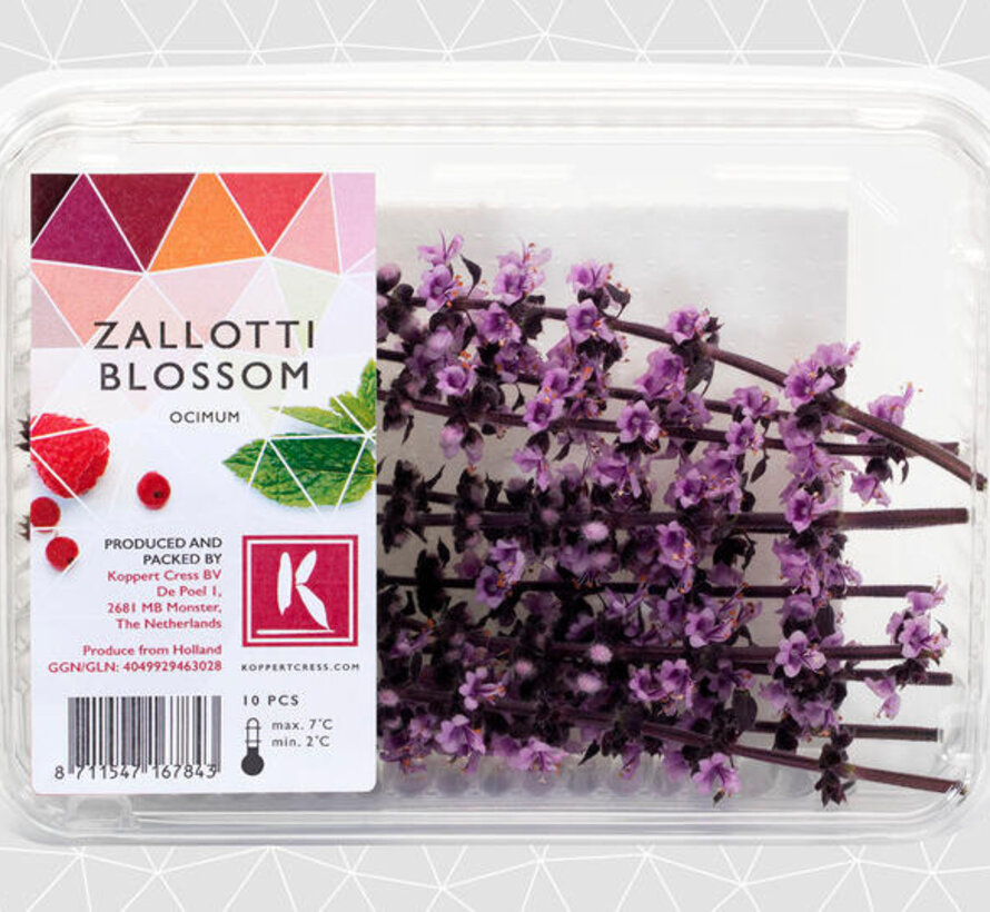 Zallotti Blossom  10 pcs