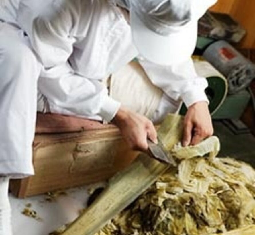 Gesneden shiroita kombu (voor battera sushi) - 100 vellen