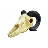 Lucky Reptile Deco Skull Ram Lucky Reptile Deco Skull Ram