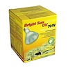 Lucky Reptile Bright Sun UV Desert 70W Lucky Reptile Bright Sun UV Desert 70W