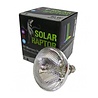 Solar Raptor 80 Watt Kwikdamplamp Solar Raptor 80 Watt Kwikdamplamp