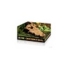 Exo Terra Terrarium Decor Crocodile Skull Exo Terra Terrarium Decor Crocodile Skull