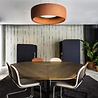 BuzziSpace BuzziJet Akoestische Hanglamp BuzziSpace BuzziJet Akoestische Hanglamp