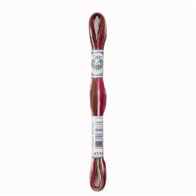 DMC Mouliné Coloris 8m - 4516