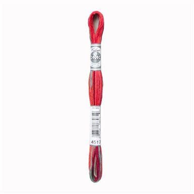 DMC Mouliné Coloris 8m - 4517