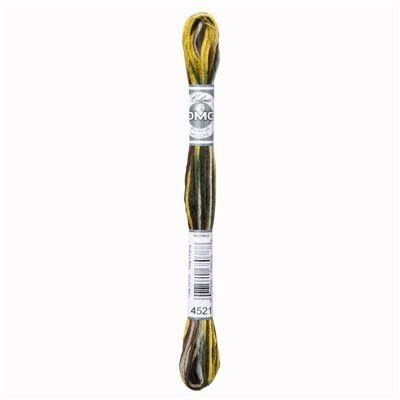DMC Mouliné Coloris 8m - 4521