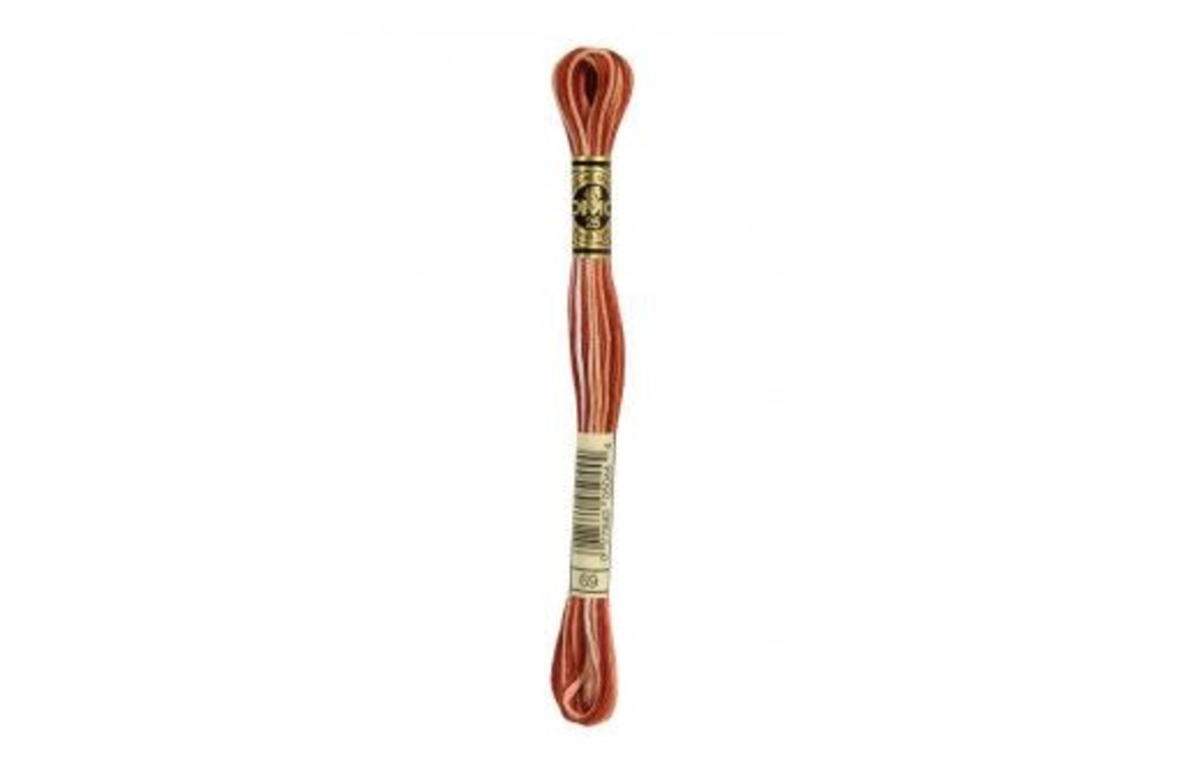 DMC Mouliné Special - 0069