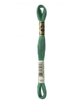 DMC Mouliné Special - 0163
