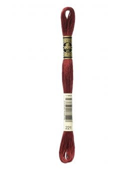 DMC Mouliné Special - 0221